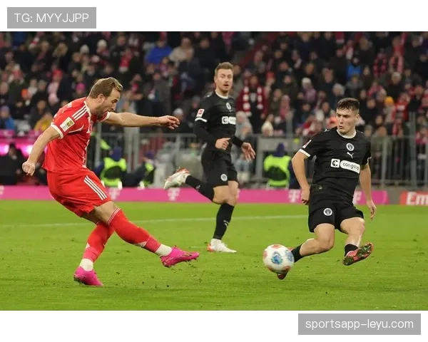 德甲阵容优化建议